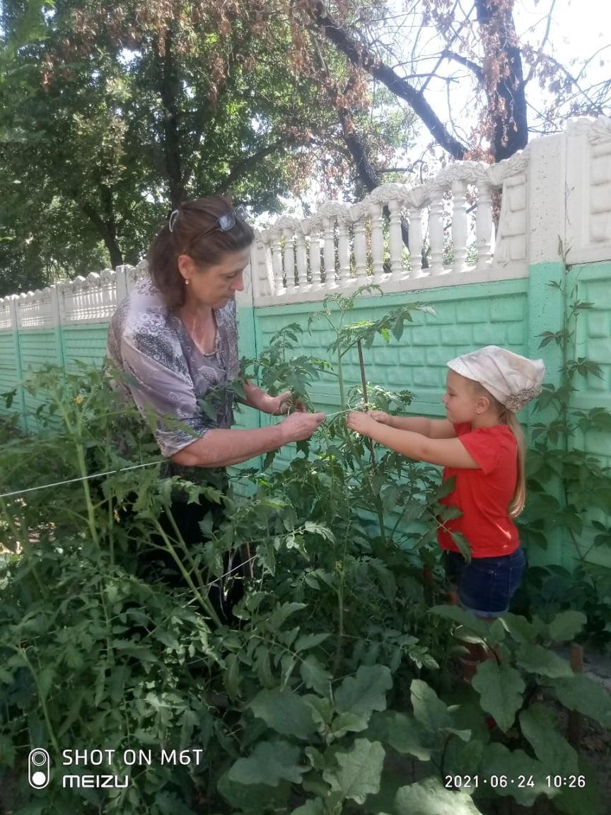 Труд детей на огороде  в подготовительной группе "Ақ-булақ", и первый урожай .