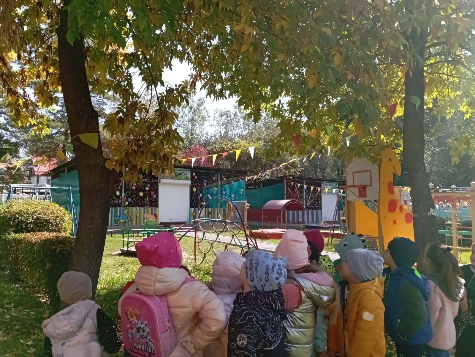 Прогулка в предшкольной группе  "Жұлдыз". "Наблюдение за осенними листьями".